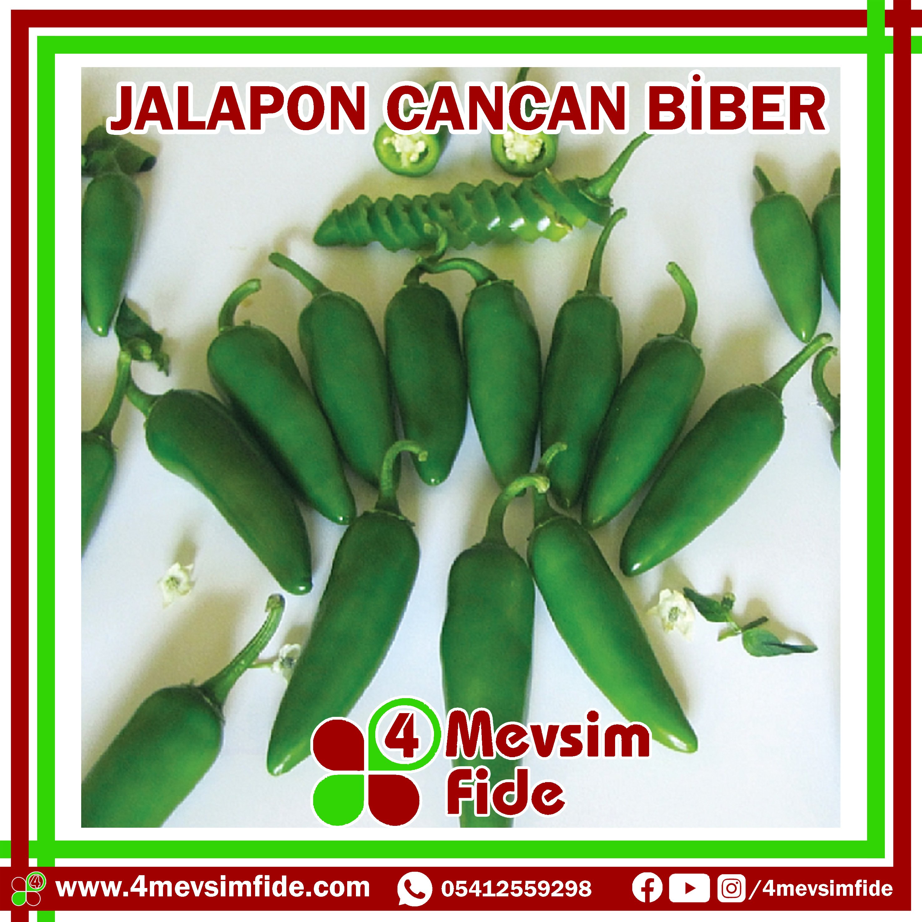 Cancan F1 Acı Jalapon Biber